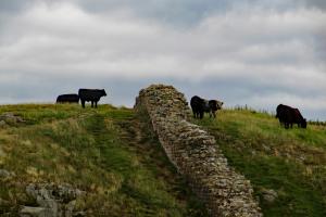 Hadrian wall, the Hadrian’s Wall Walk, England  hiking trails