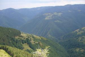 Marisel,  hoogvlakte van Marisel, Roemenië wandelroutes