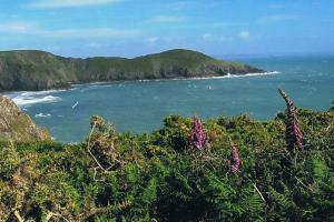 Pembrokeshire Coast Path wandelroutes