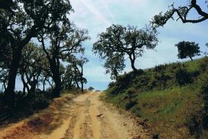 Af en toe door het "binnenland", wandelroutes Portugal Rota Vicentina