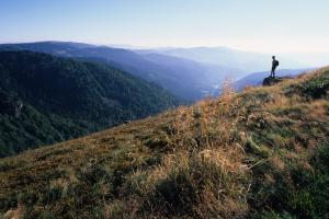  on the way to the Ballon d 'Alsace, hiking trails France Vosges