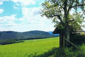 Rotweinwanderweg-Ahrsteig walking routes Germany
