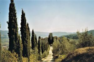 hiking trails Tuscany Italy the classic picture