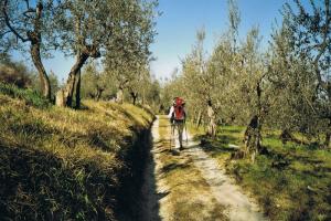 on trail, hiking trails Toscana Italy