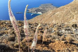 zicht op Loutro wandelroutes Kreta Griekenland
